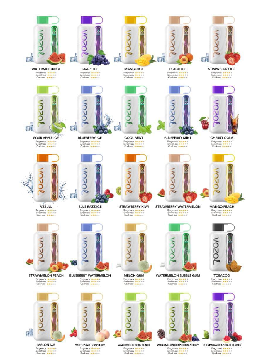 Vozol Star 40000 Puffs Rechargeable Vape Available in Dubai