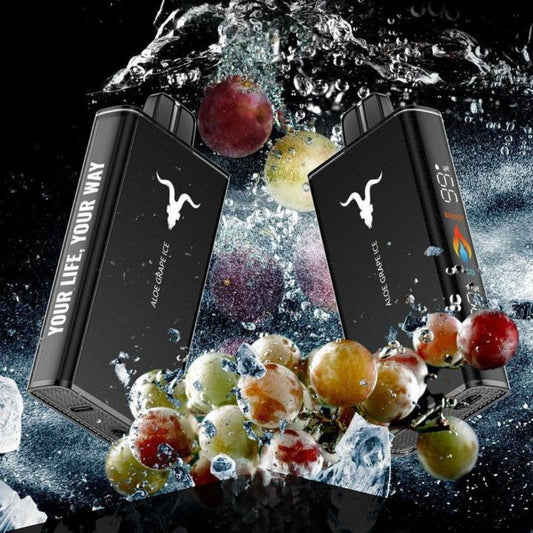 Ignite V250 25000 Puffs Disposable Vape in Dubai