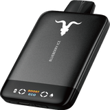 IGNITE V155 Ultra Slim 15500 Puff Rechargeable Vape