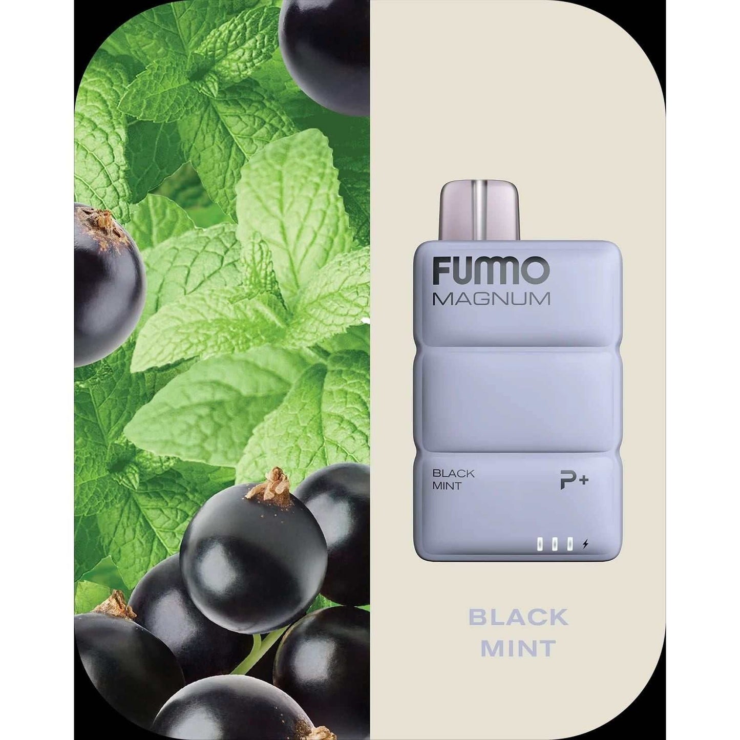 FUMMO Magnum 8000 Puffs Disposable Vape