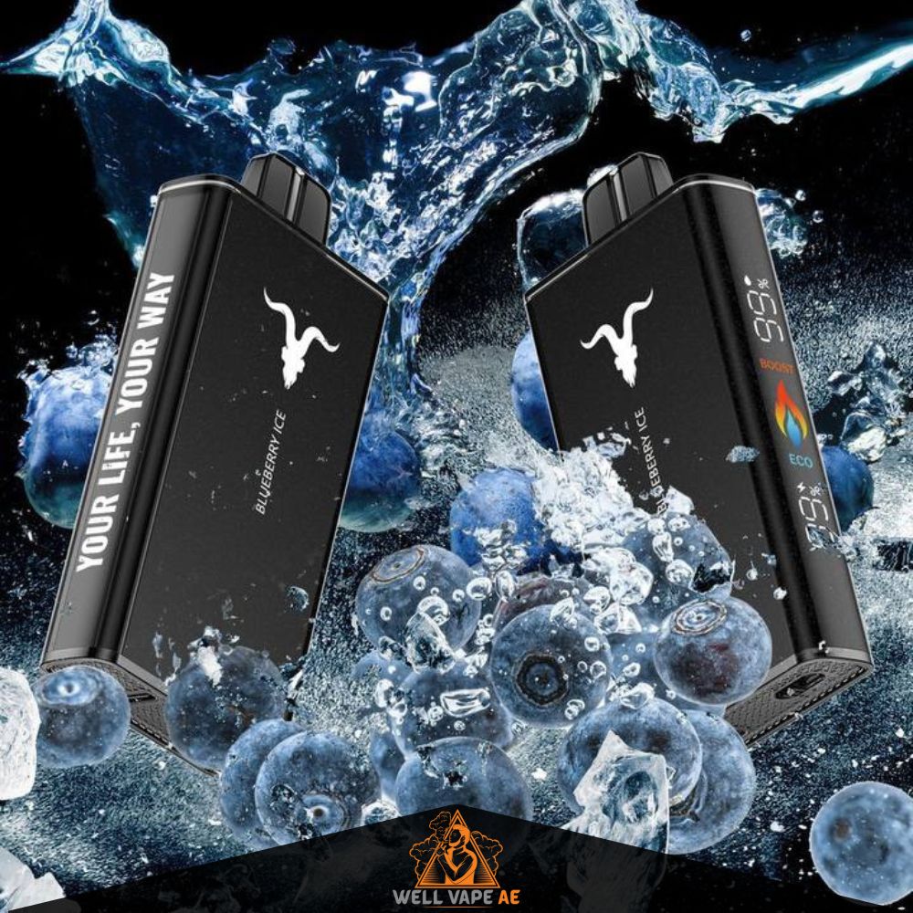 Ignite V250 25000 Puffs Disposable Vape in Dubai