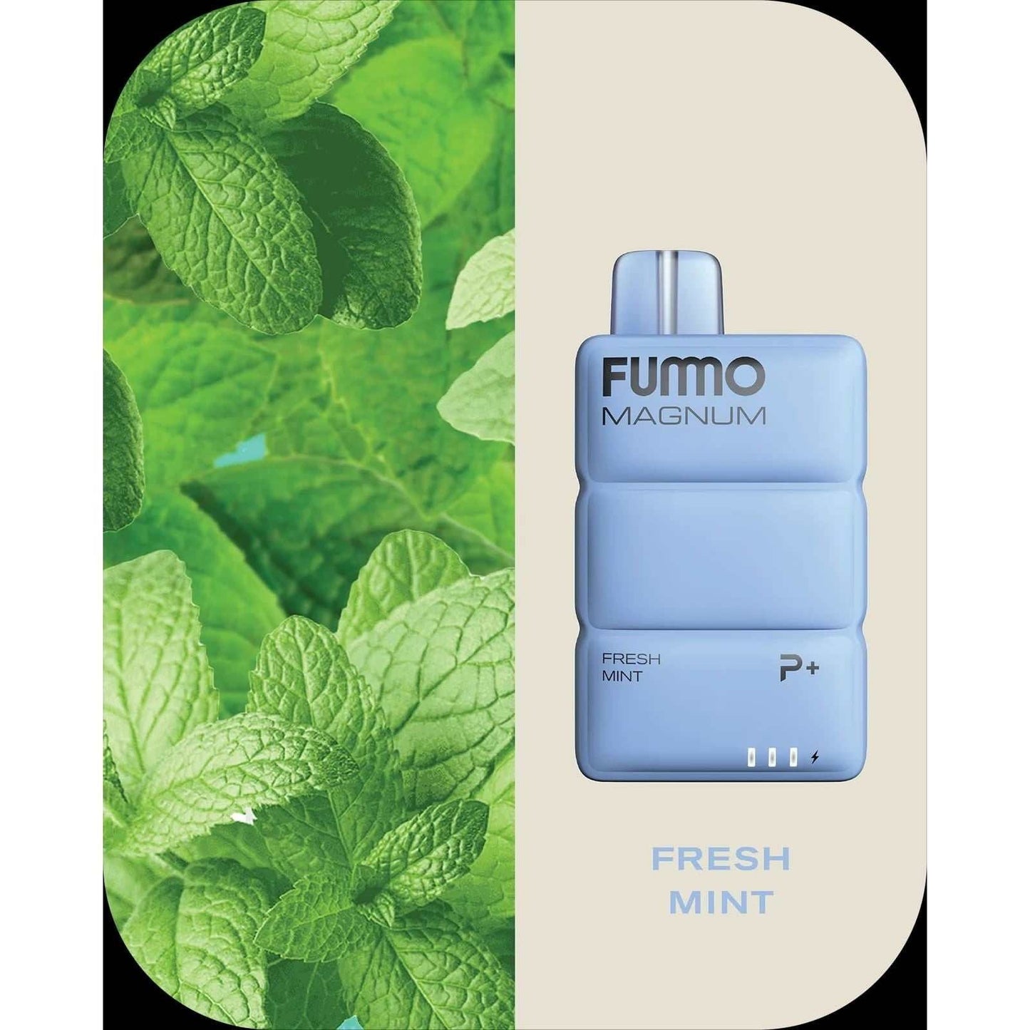 FUMMO Magnum 8000 Puffs Disposable Vape