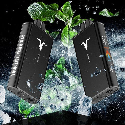 Ignite V250 25000 Puffs Disposable Vape in Dubai