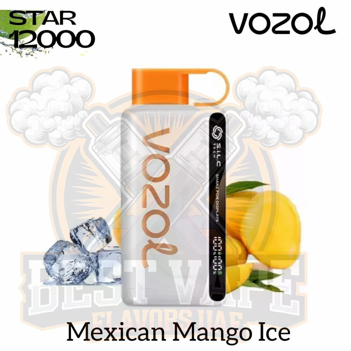 Vozol Star 12000 Puffs Disposable Vape in Dubai
