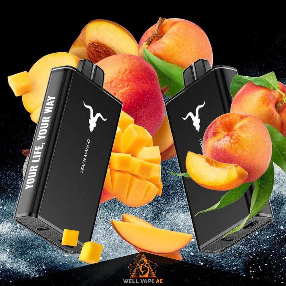 Ignite V250 25000 Puffs Disposable Vape in Dubai