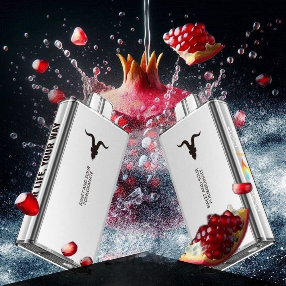 Ignite V250 25000 Puffs Disposable Vape in Dubai