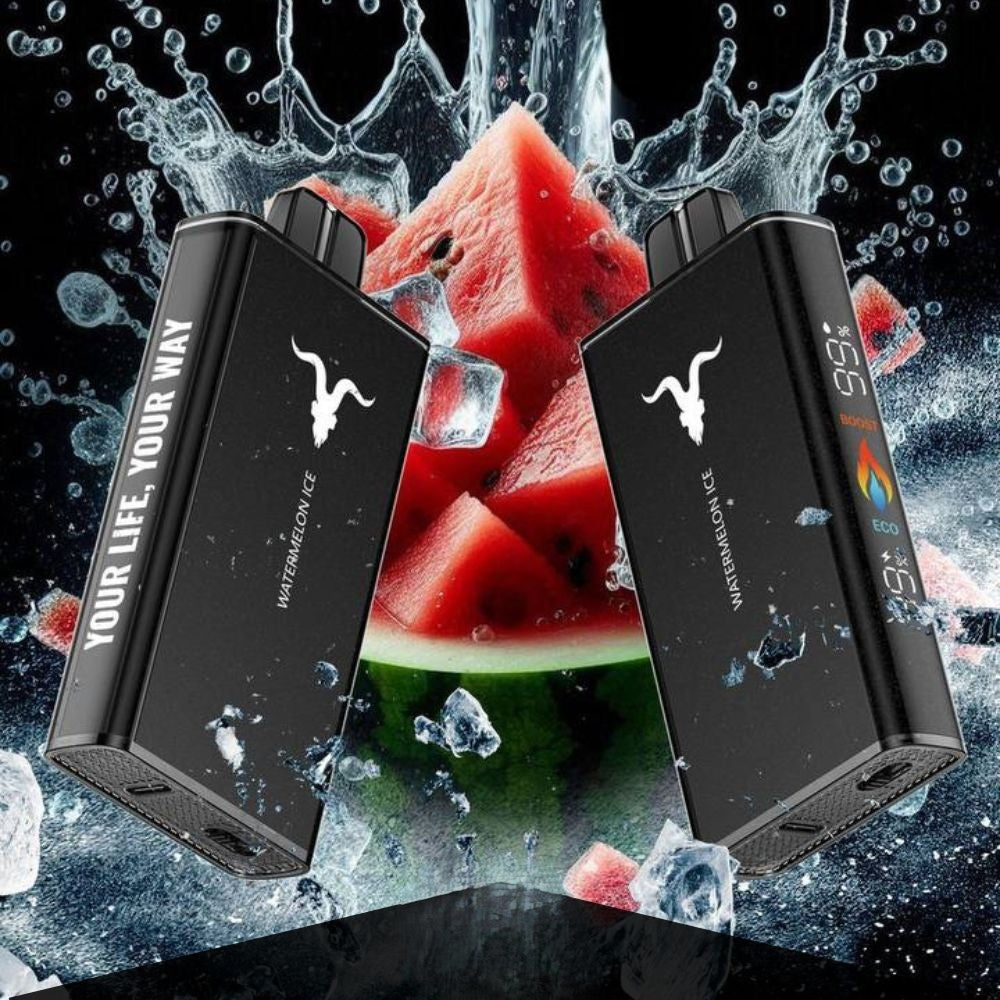 Ignite V250 25000 Puffs Disposable Vape in Dubai