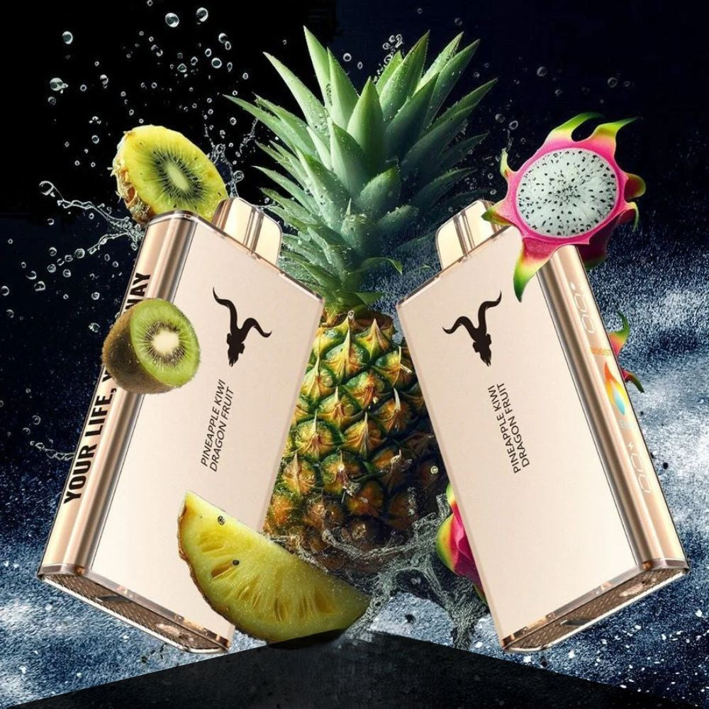 Ignite V250 25000 Puffs Disposable Vape in Dubai