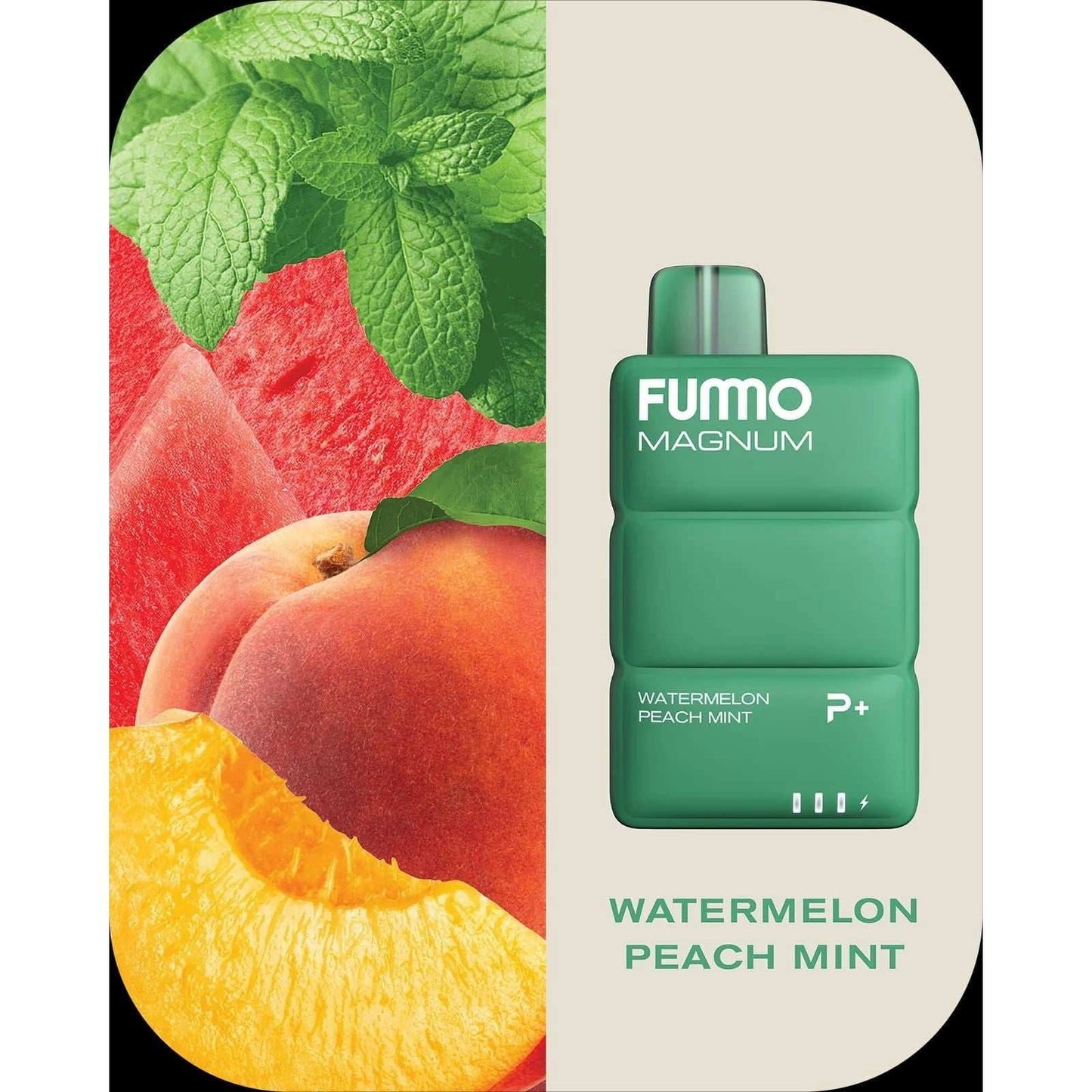 FUMMO Magnum 8000 Puffs Disposable Vape