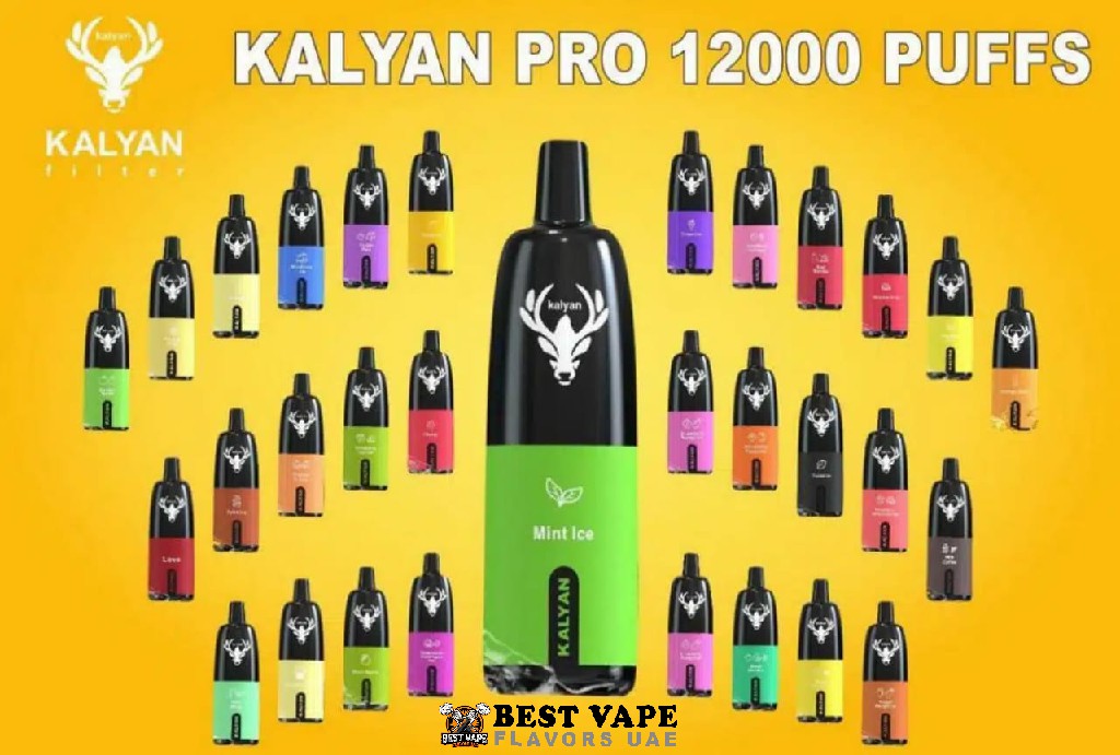 KALYAN Pro 12000 Puffs Disposable Vape in Dubai