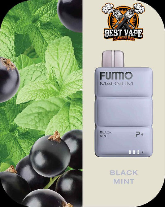 FUMMO Magnum (P+)8000 Puffs Disposable Vape In Dubai