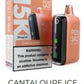 Podsalt 15,000 Puffs Disposable Vape
