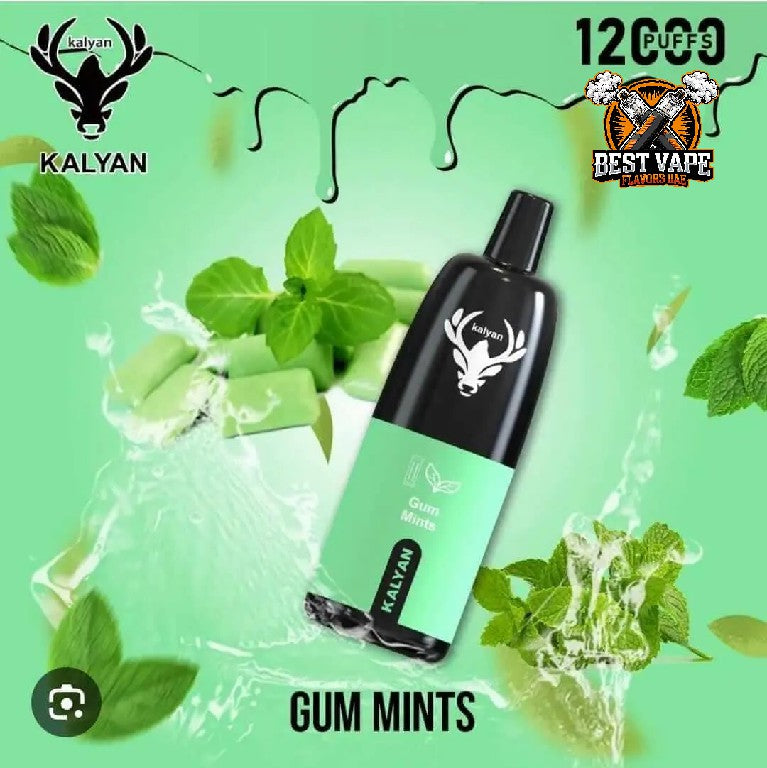 KALYAN Pro 12000 Puffs Disposable Vape in Dubai