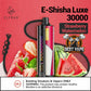 ELFBAR E-Shisha Luxe 30000 Puffs Disposable Vape In Dubai