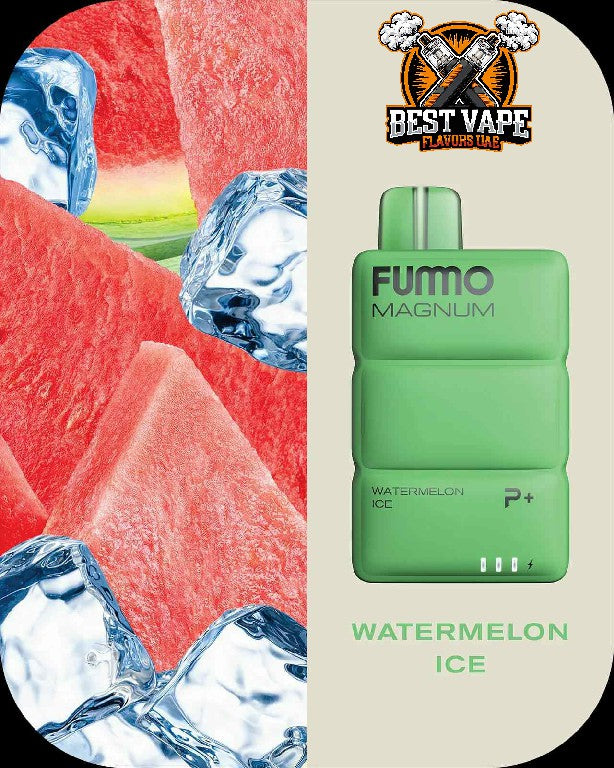 FUMMO Magnum (P+)8000 Puffs Disposable Vape In Dubai