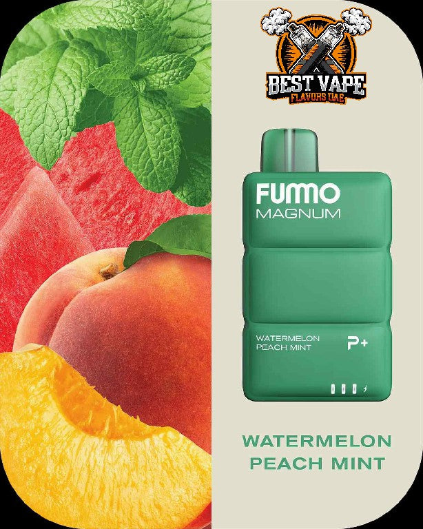 FUMMO Magnum (P+)8000 Puffs Disposable Vape In Dubai