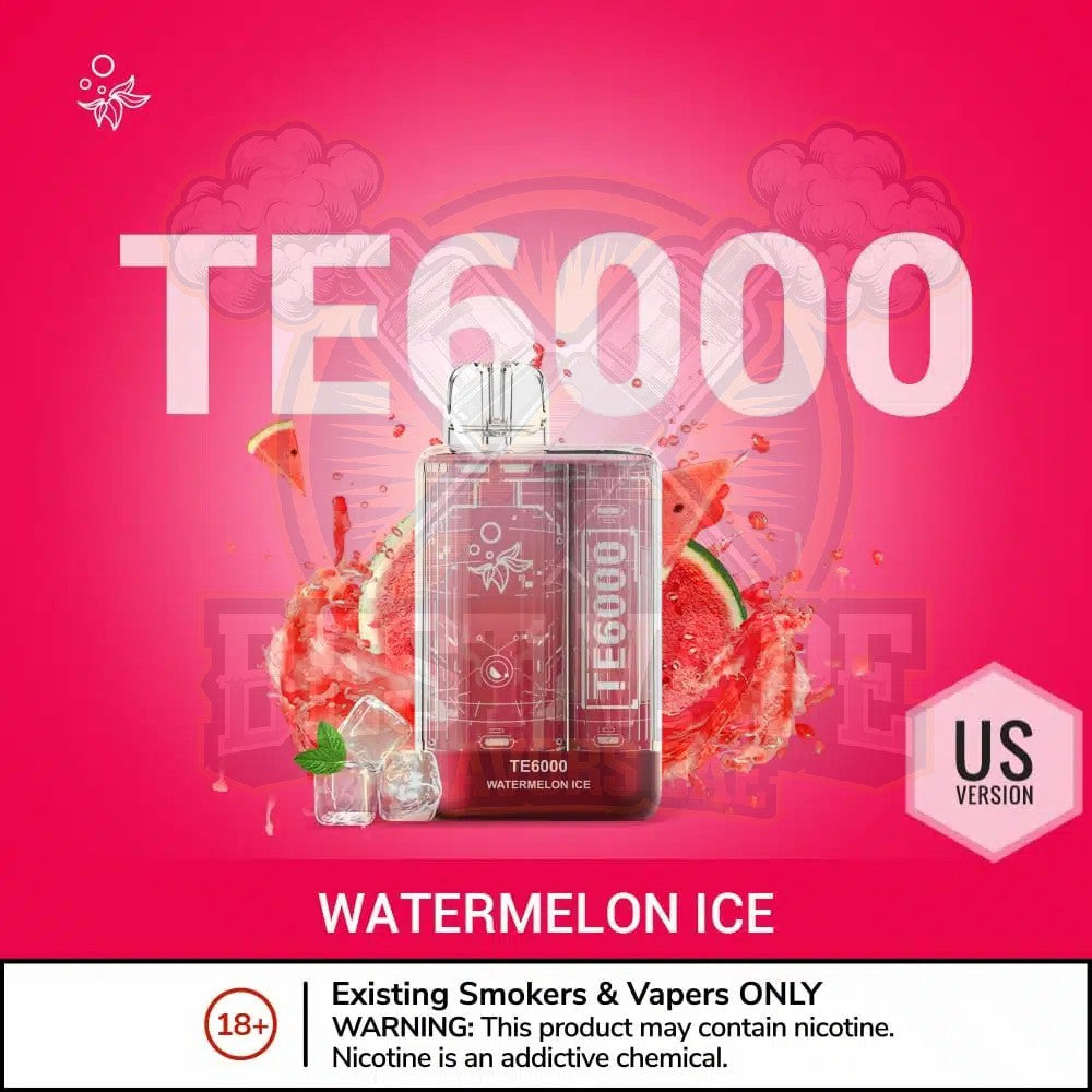 ELF BAR TE6000 Puffs Disposable Vape (US Version) in Dubai